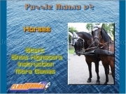 Play Puzzle mania v2 - horses