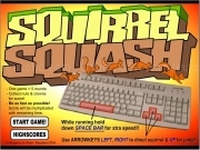 Play Dagobah squirrel squash