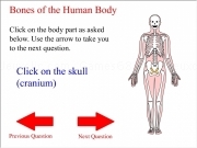 Play Body bones quiz