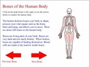 Play Body bones quiz