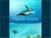 Play Fugitive tortoise
