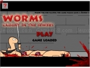 Play Worms - caught in the sexers