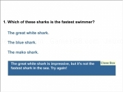 Play Shark quiz