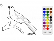 Play Bird coloring