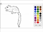 Play Squirrel coloring
