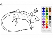 Play Lizard coloring