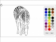 Play Zebra coloring