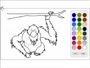 Play Monkey coloring