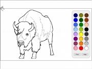 Play Bison coloring