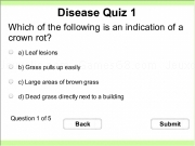 Play Disease quiz