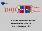 Play Cutting genes blunt