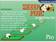 Play Sheep pool starring frisbee dog