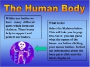 Play Human body