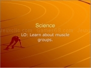 Play Muscle groups