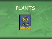 Play Plants