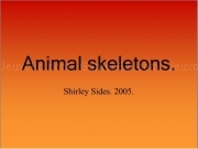 Play Animal skeletons