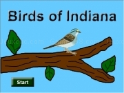 Play Birds of indiana