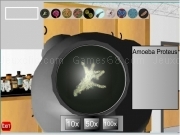 Play Sco microscope