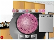 Play Body virtual microscope
