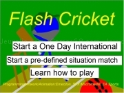 Play Flash cricket