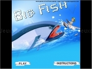 Play Big fish game