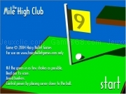 Play Mile high club