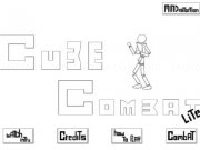 Play Cube combat