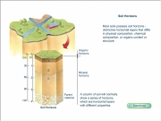 Play Soil horizons