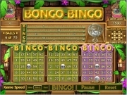 Play Bongo bingo