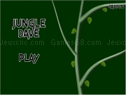 Play Jungle dave