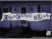 Play Domestic bliss