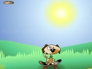Play Frisbee dog