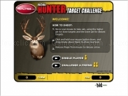 Play Bow hunter target challenge