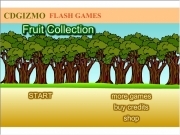 Play Fruit collection