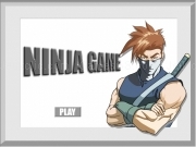 Play Ninja game