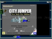 Play City jumper - new york city edition