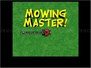 Play Mowing master