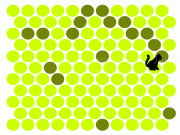 Play Game chat noir