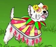 Play Little dog dress up game