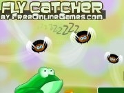 Play Fly catcher