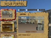 Play Wild pistol