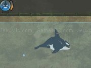 Play Killer whale