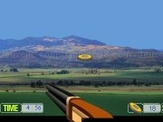 Play Skeet shoot