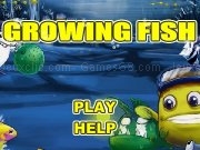 Play Growing fish
