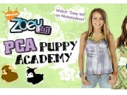Play Pet Academy