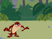 Play Taz Coconut Catching