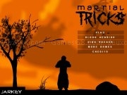 Play Martialtricks jarkey secure