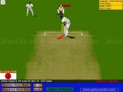 Play Virtual cricket