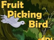Play Fruit picking bird