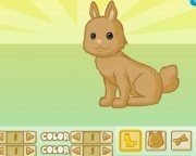 Play Pet creator